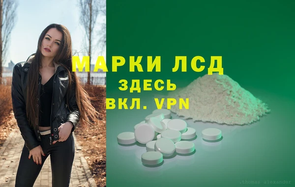 стаф Алзамай