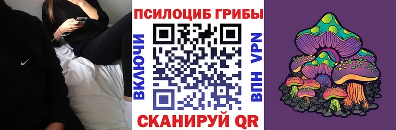 наркотики  Волхов  Псилоцибиновые грибы мицелий 